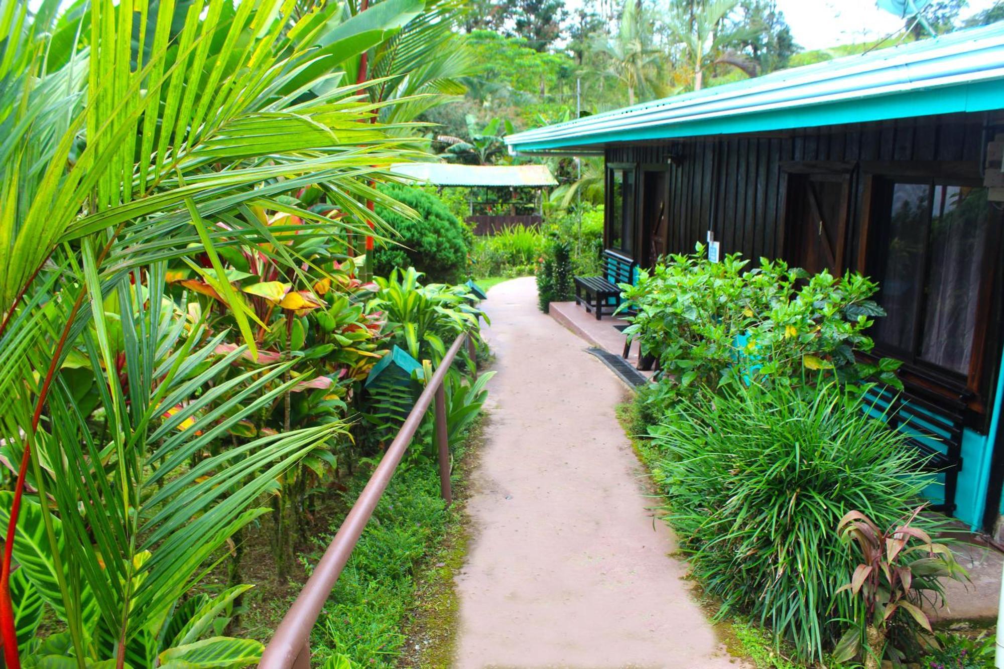 Posada Río Celeste La Amistad Exterior foto